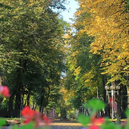 Smilgu Namai * Druskininkai